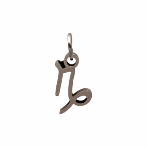 Charm Capricorne argenté