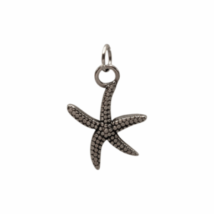 Charm Étoile de Mer argenté