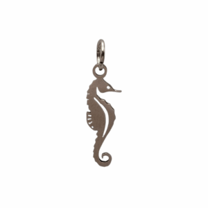 Charm Hippocampe argenté