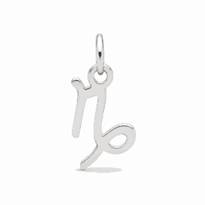 Charm astrologique Capricorne argenté en acier inoxydable représentant le symbole du signe du zodiaque, pour bijou personnalisable Les Paulinas