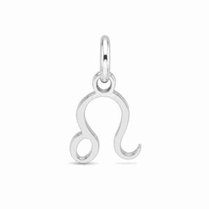 Charm astrologique Lion argenté en acier inoxydable représentant le symbole du signe du zodiaque, pour bijou personnalisable Les Paulinas
