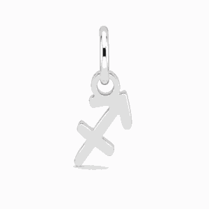 Charm astrologique Sagittaire argenté en acier inoxydable représentant le symbole du signe du zodiaque, pour bijou personnalisable Les Paulinas