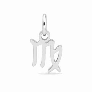Charm astrologique Vierge argenté en acier inoxydable représentant le symbole du signe du zodiaque, pour bijou personnalisable Les Paulinas