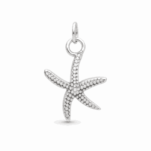Charm étoile de mer argenté en acier inoxydable, pour bijou personnalisable Les Paulinas
