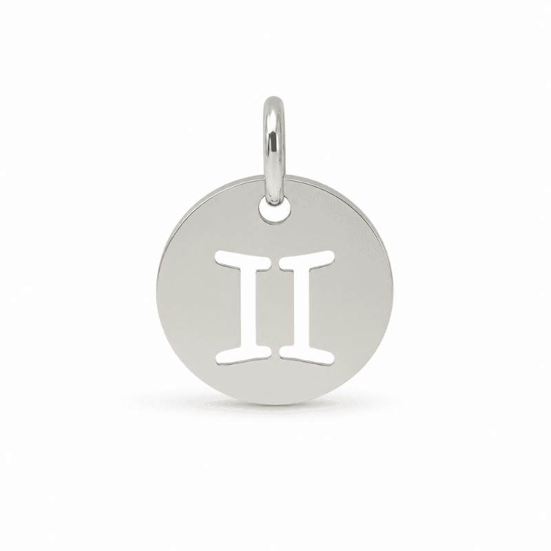 Les Paulinas, charm médaille astrologique Gémeaux argenté en acier inoxydable Charm médaille astrologique Gémeaux argenté en acier inoxydable avec symbole du signe du zodiaque, pour bijou personnalisable Les Paulinas