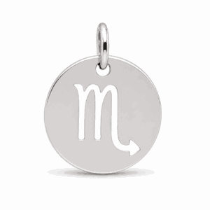Charm médaille astrologique Scorpion argenté en acier inoxydable avec symbole du signe du zodiaque, pour bijou personnalisable Les Paulinas