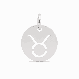 Charm médaille astrologique Taureau argenté en acier inoxydable avec symbole du signe du zodiaque, pour bijou personnalisable Les Paulinas