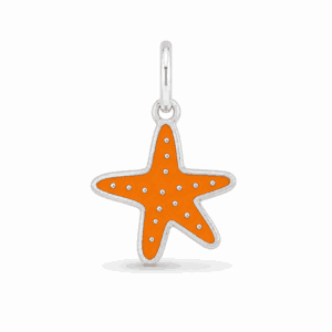 Charm étoile de mer orange argenté en acier inoxydable avec émail coloré, pour bijou personnalisable Les Paulinas