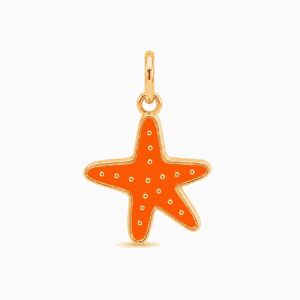 Charm étoile de mer orange doré en acier inoxydable, pendentif marin émaillé pour bijou personnalisable Les Paulinas