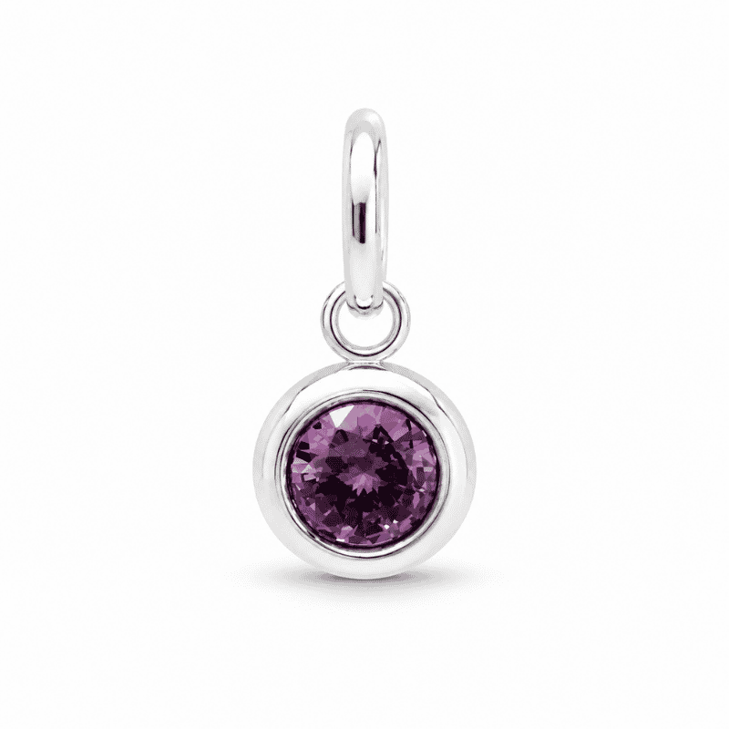Les Paulinas, charm pierre de naissance février argenté en acier inoxydable Charm pierre de naissance février argenté en acier inoxydable avec pierre violette, pour bijou personnalisable Les Paulinas