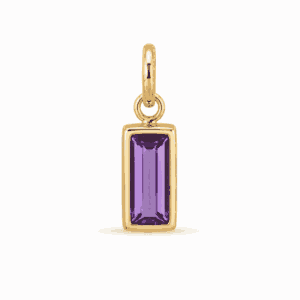 Charm pierre de naissance février doré en acier inoxydable avec pierre violette, pour bijou personnalisable Les Paulinas