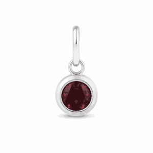Charm pierre de naissance janvier argenté en acier inoxydable avec pierre rouge, pour bijou personnalisable Les Paulinas